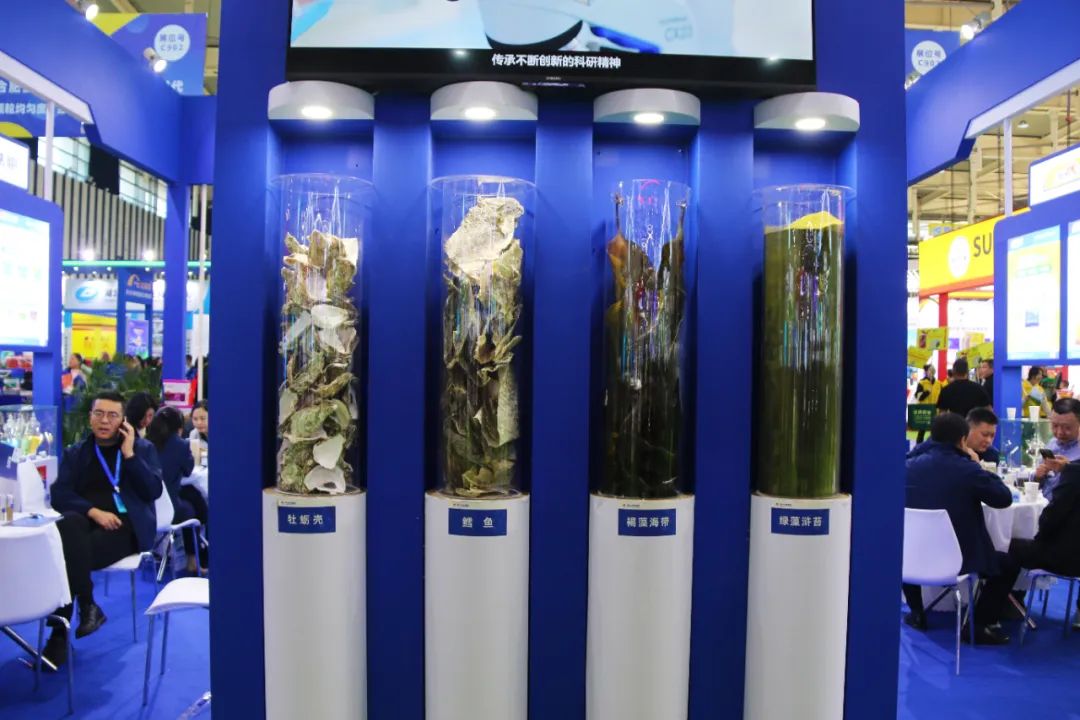 全国磷复肥会j9.com,asia gaming,PlayAce,真人游戏第一品牌生物亮点纷呈备受瞩目